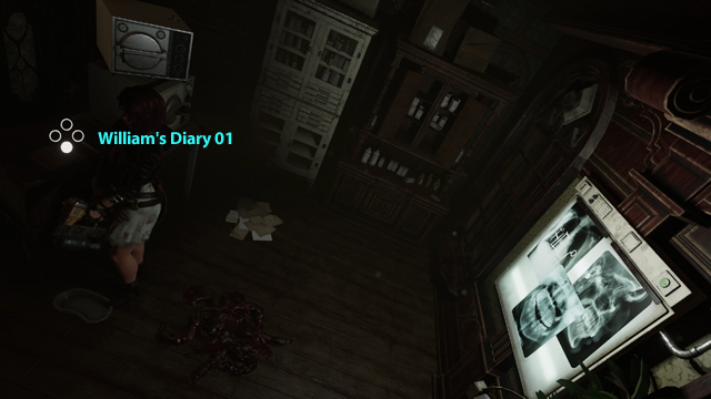 William's Diary 01 William's Diary 01