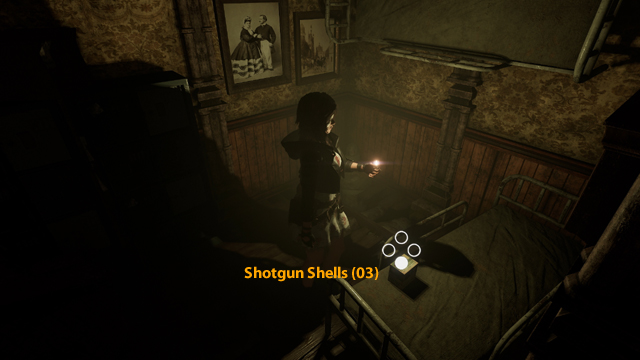 Shotgun Shells (03) Shotgun Shells (03)