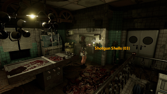 Shotgun Shells (03) Shotgun Shells (03)