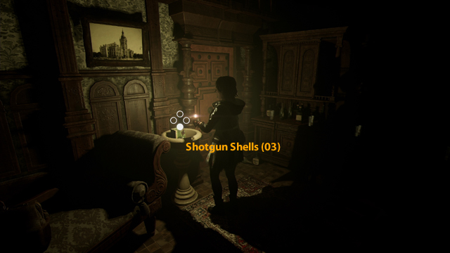 Shotgun Shells (03) Shotgun Shells (03)