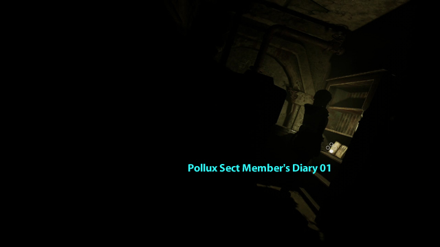 Pollux Sect Member's Diary 01