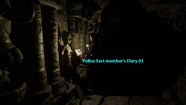 Pollux Sect Member's Diary 03