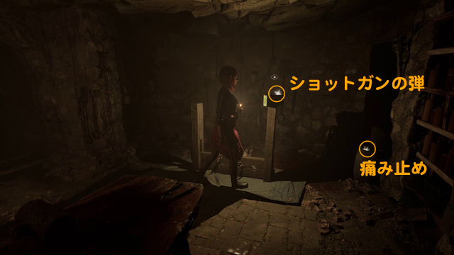 ショットガンの弾、痛み止め