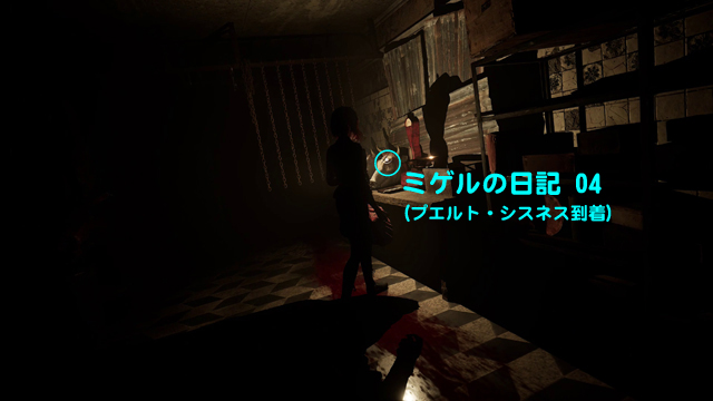 ミゲルの日記 04（プエルト・シスネス到着）