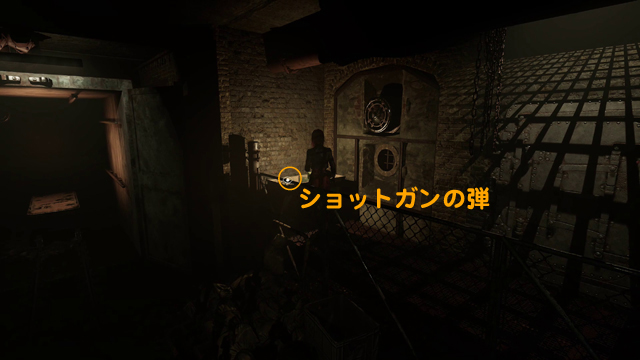 ショットガンの弾