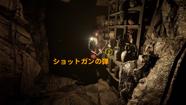 ショットガンの弾