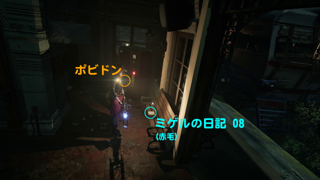 ミゲルの日記 08（赤毛）、ポビドン