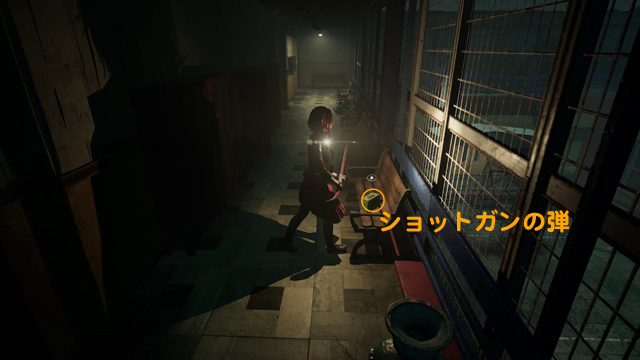 ショットガンの弾