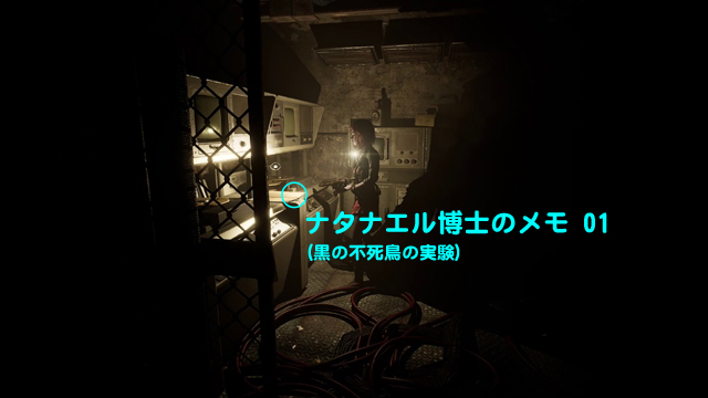 ナタナエル博士のメモ 01（黒の不死鳥の実験）