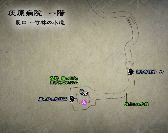 裏口~竹林の小道 裏口~竹林の小道